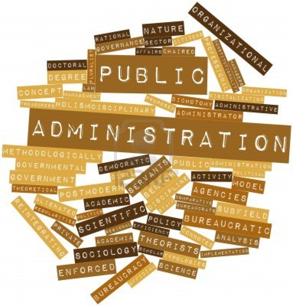 public administration meaning in hindi