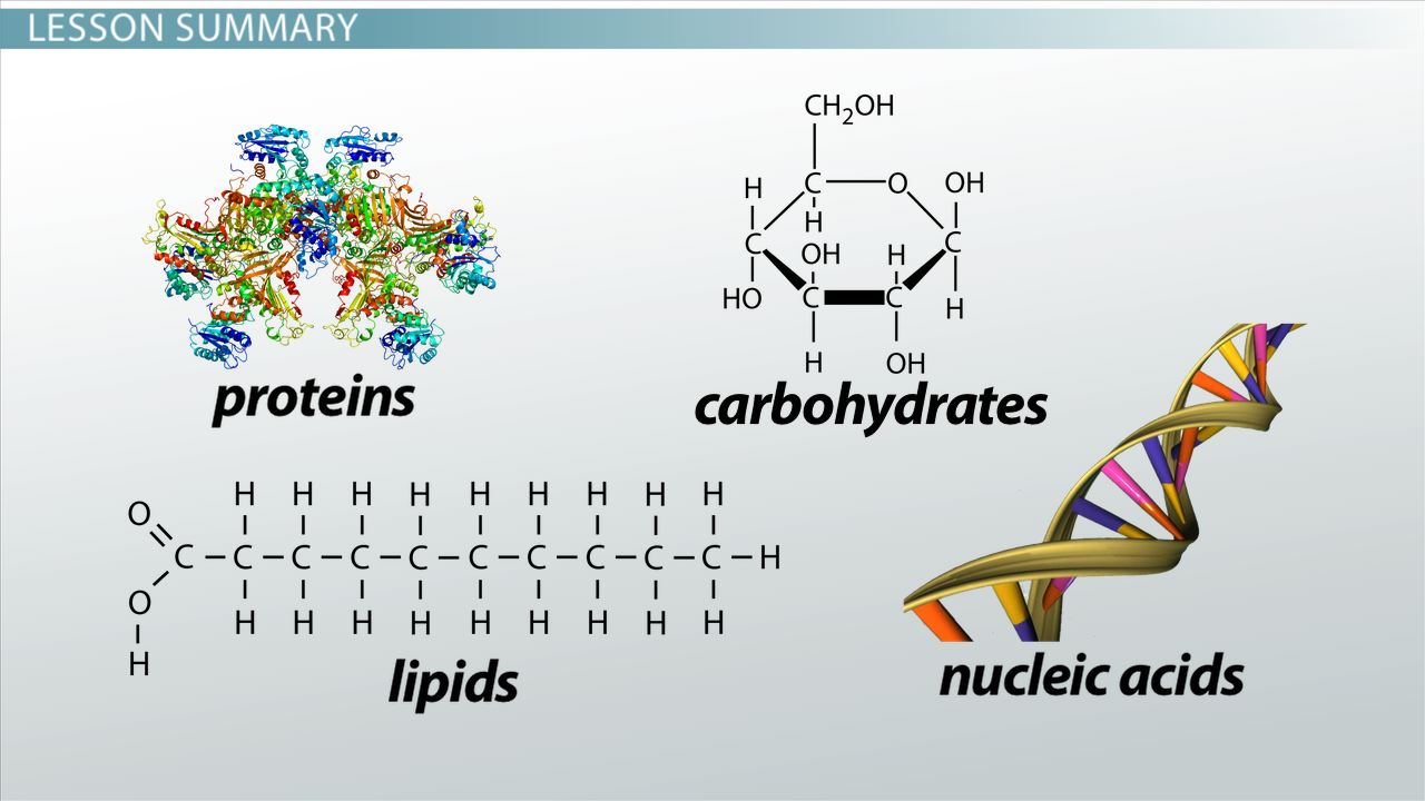 some-important-organic-compounds-cgpcs-exam-preparation